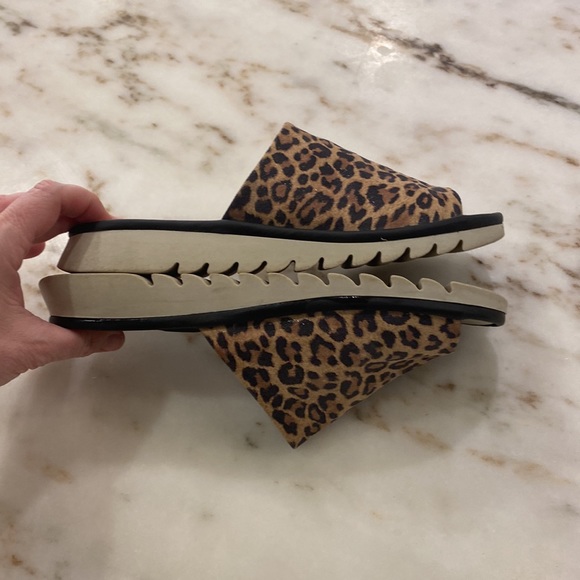 The Flexx Slide - Picture 4 of 7